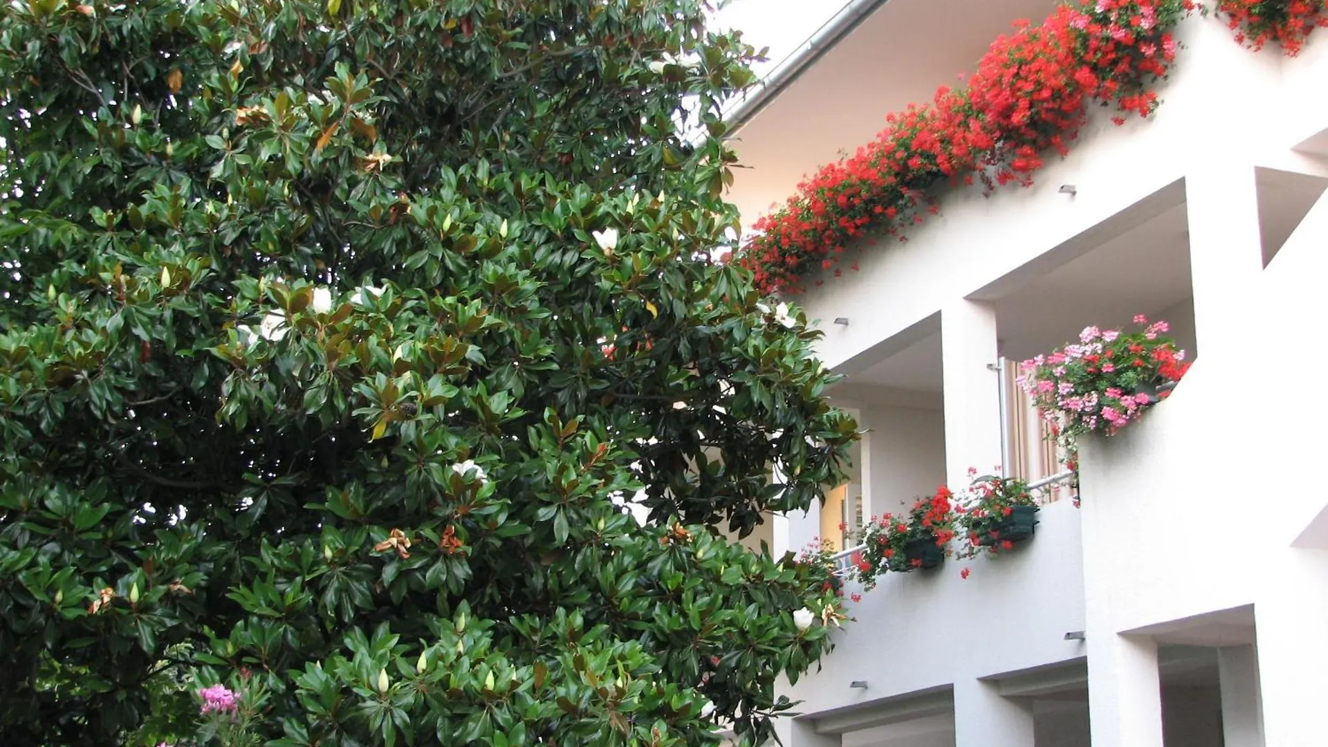 רוביני Apartments Villa Martinuzzi