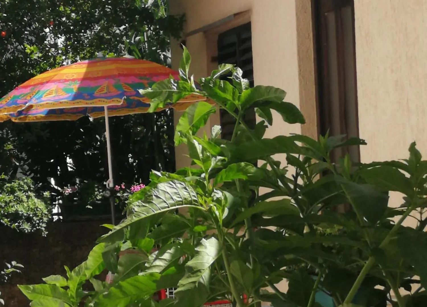 רוביני Apartments Villa Martinuzzi