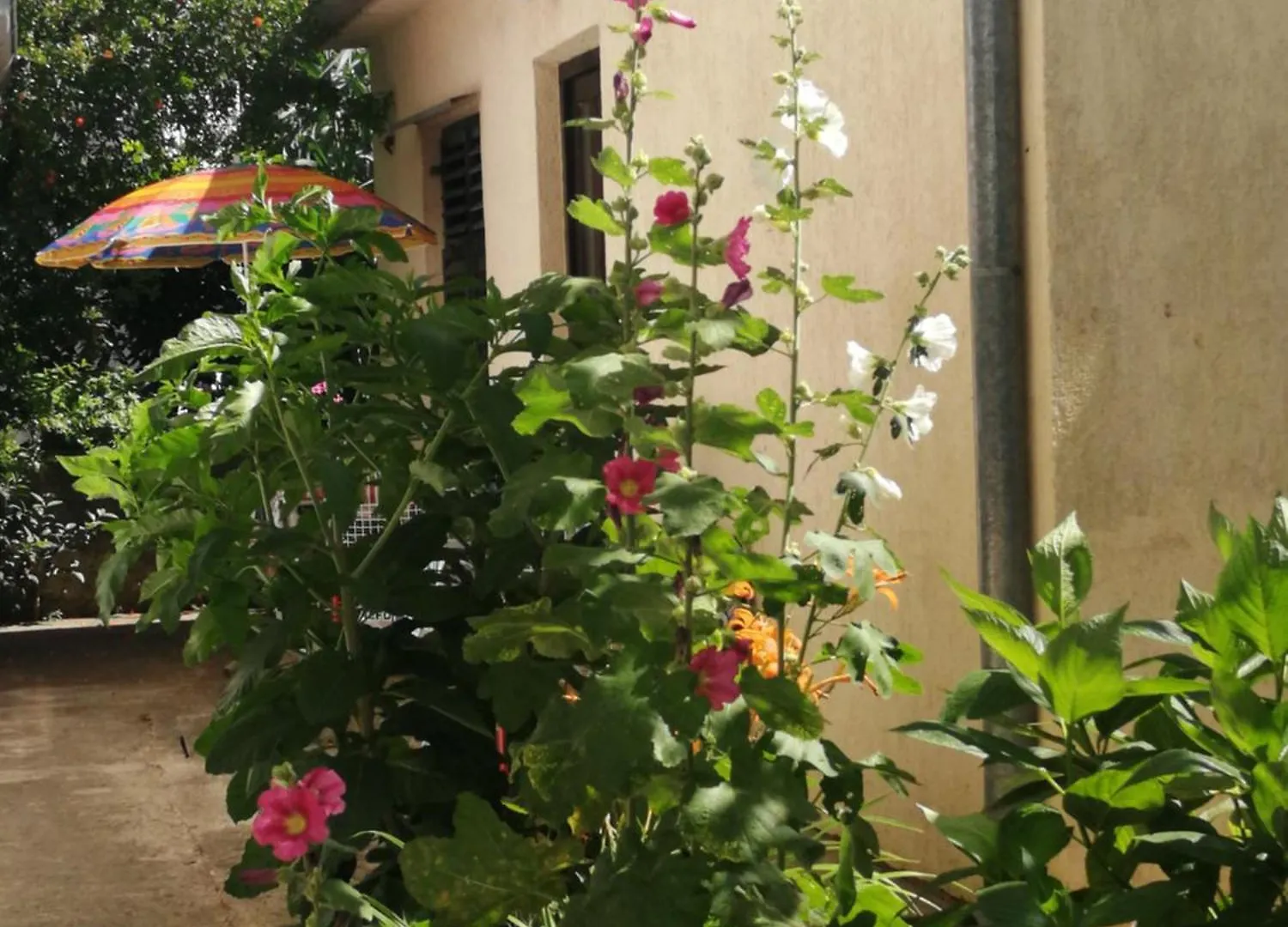 רוביני Apartments Villa Martinuzzi