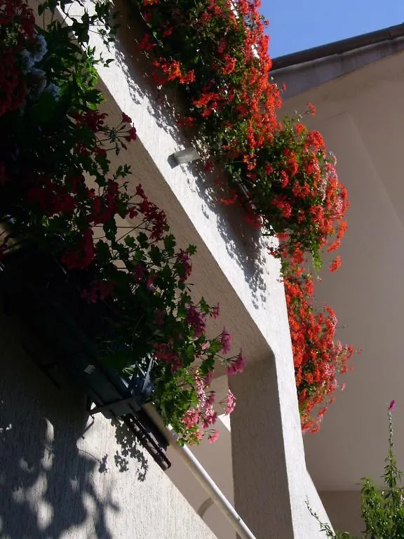 רוביני Apartments Villa Martinuzzi קרואטיה